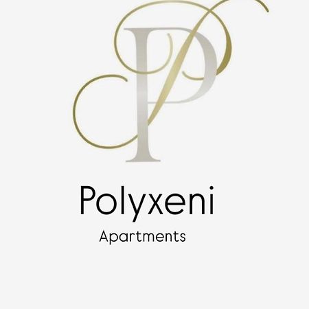 Polyxeni Apartments & Rooms 科帕罗 外观 照片