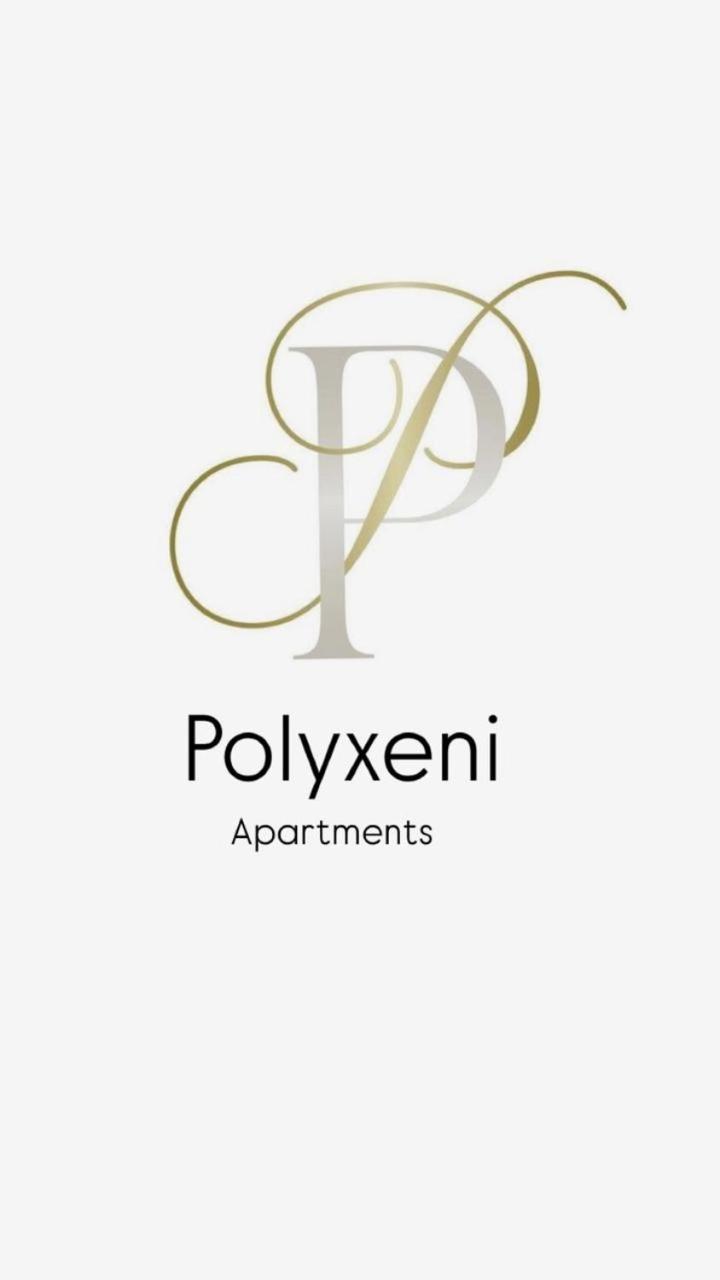 Polyxeni Apartments & Rooms 科帕罗 外观 照片